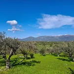 Casa de Férias Oliva - 5000m2 Olive Grove - Bbq - Ideal For Families & Groups