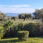 Casa de Férias Oliva - 5000m2 Olive Grove - Bbq - Ideal For Families & Groups Erétria