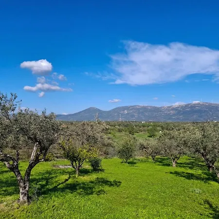 Nyaraló Oliva - 5000m2 Olive Grove - Bbq - Ideal For Families & Groups