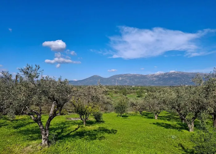 度假居 Oliva - 5 Acre Olive Grove - Bbq - Ideal For Families & Groups